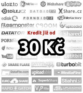 megashare fin|MultiShare.cz » Stahování z 18 share serverů za jediný kredit!.